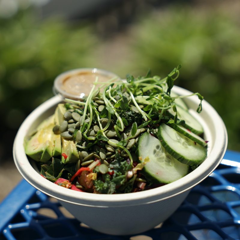A filling salad bowl with cucumbers, avocado, kale, sunflower seeds and pea shoots.