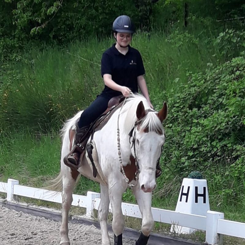 Ideale Reit- und Trainingsbedingungen