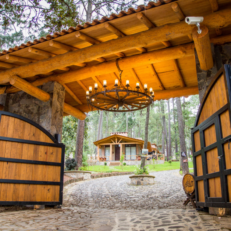 Vigilancia y seguridad