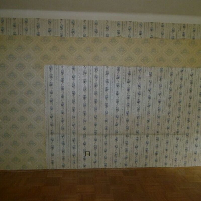 Messie Entrümpelung in Wien