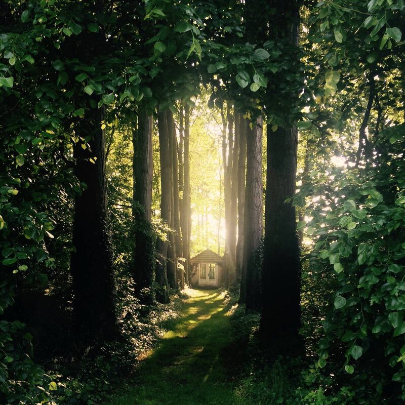 Die Natur sehnt sich genauso nach uns, wie wir uns sehnen nach ihr. Ansprache im Namen der Natur