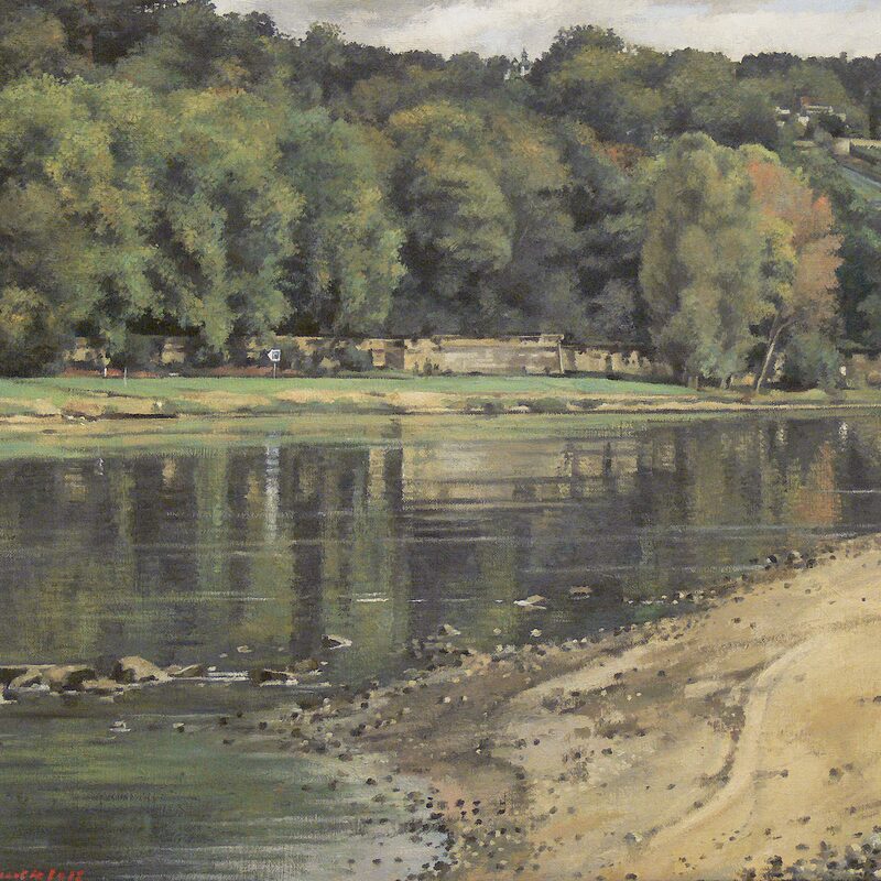 elblandschaft, dresden 2012, 44 x 52 cm, öl auf leinwand