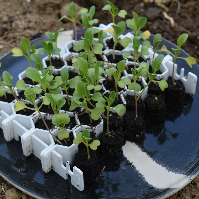 Germie : Kit de germination pour toujours réussir ses semis