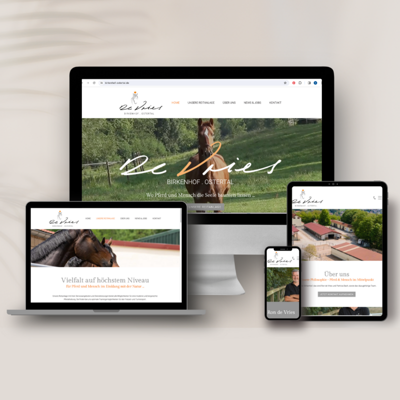 Website für den hochwertig ausgestatteten Pferdehof De Vries im Ostertal