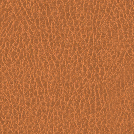 TERASKIN PLUS col. 304