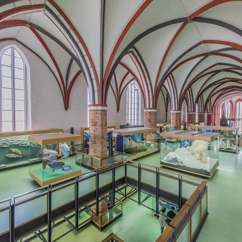 Die große Halle des Katharinenklosters mit einem Teil des Meeresmuseums