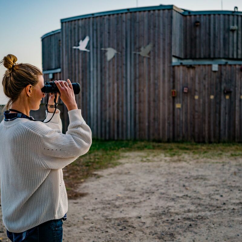 Kranorama bei Groß Mohrdorf