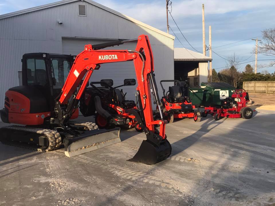 Skilled arborist cutting a tree