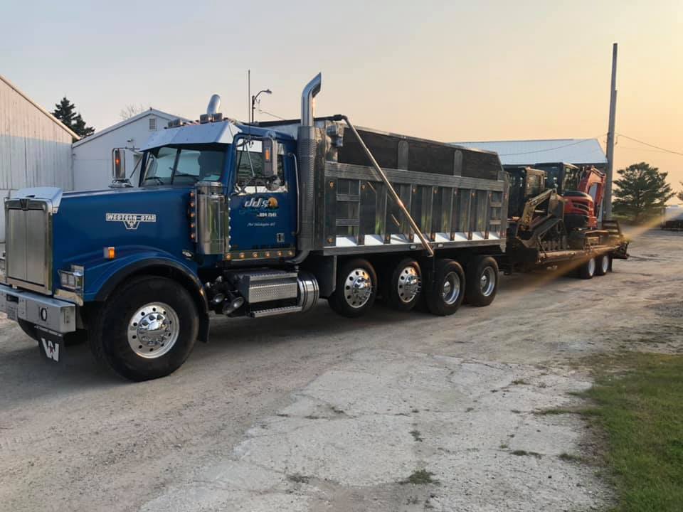 Skilled arborist cutting a tree