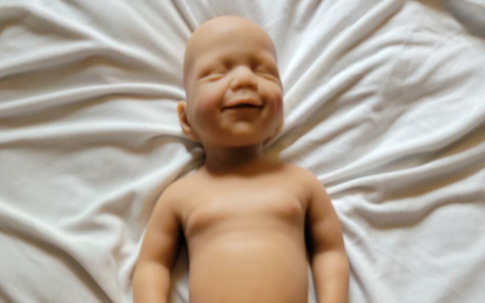 We were the first company to create a functional baby sex doll.
