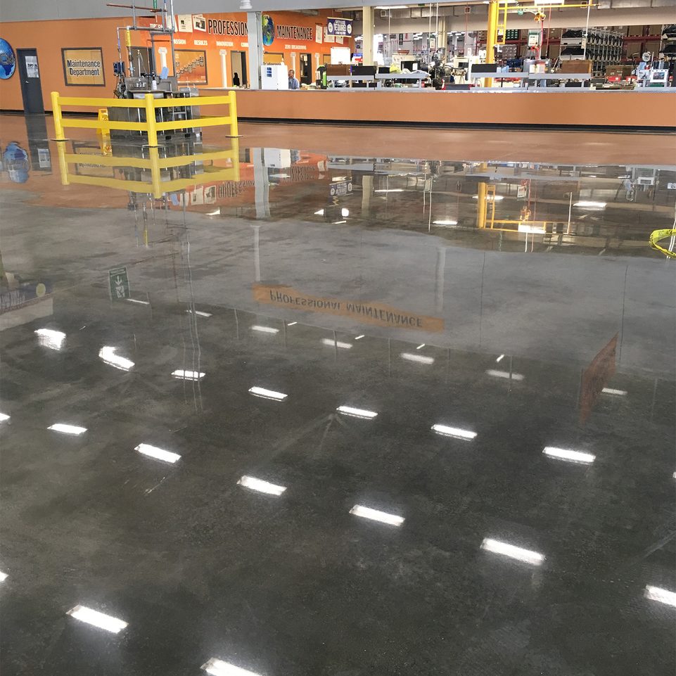 Polished Concrete Salt & Pepper