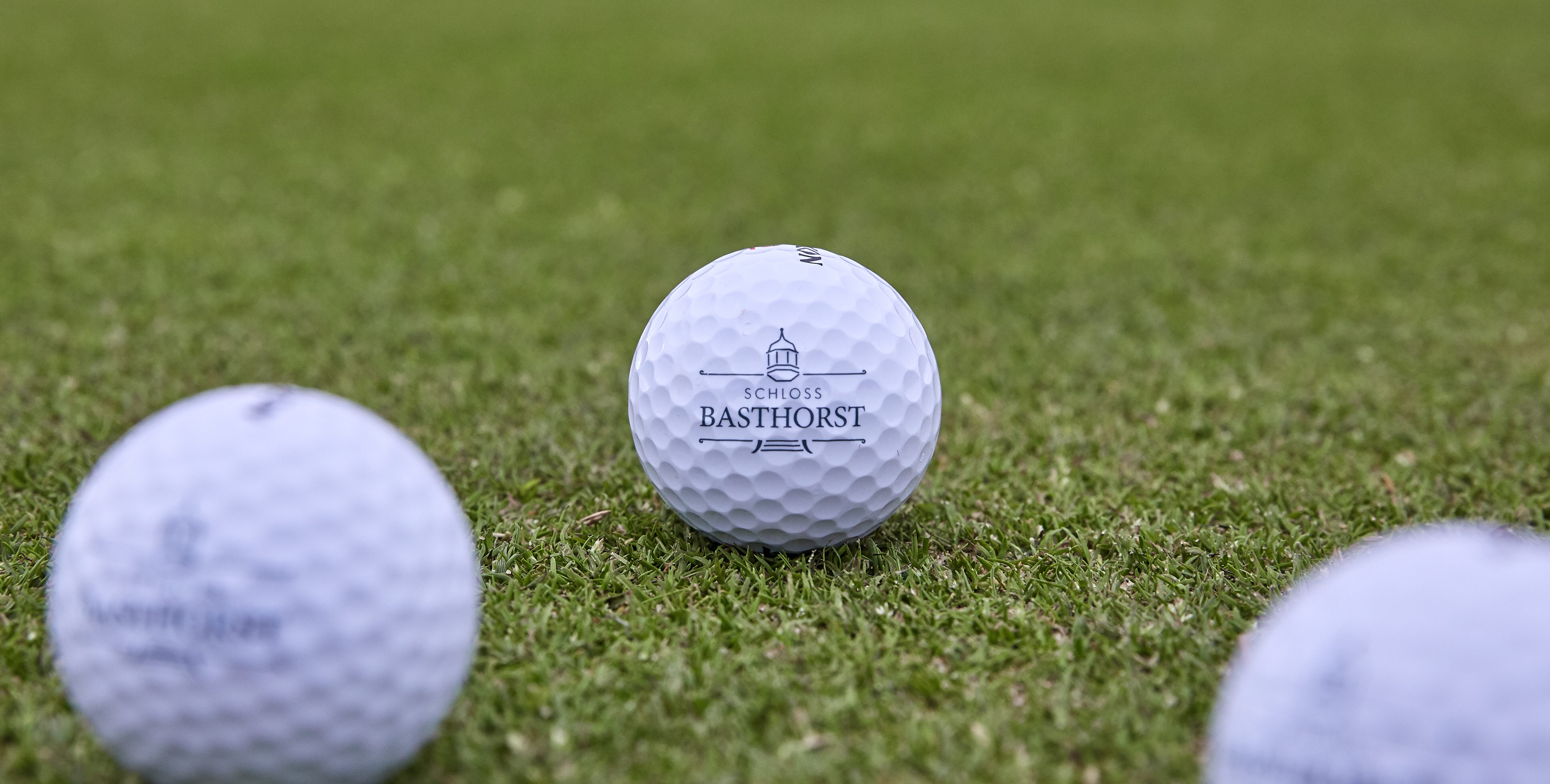 Aktuelle Themen und Angebote Schloss Basthorst